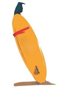 Steve Mitchell, 2014